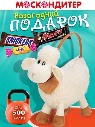 Новогодний подарок Детский новогодний подарок «Сумочка-барашка»